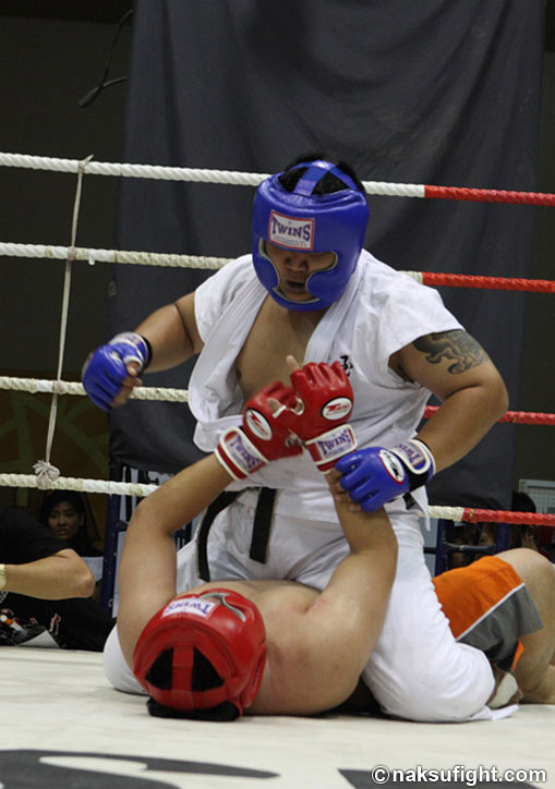 Fighter Blue VS Dante Player